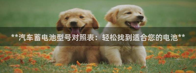 优发国际集团股份有限公司招聘