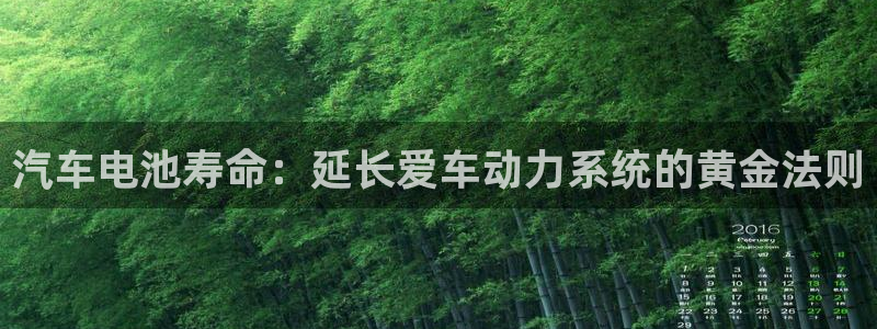 优发国际合并到哪里了