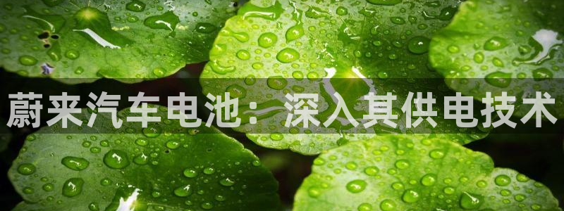 优发国际官网qy88
