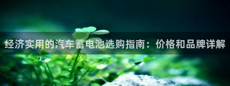 优发国际平台u8是什么