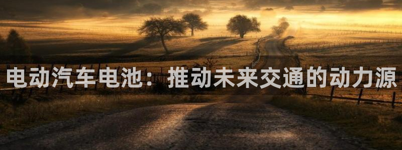 优发国际手机客户端怎么下载