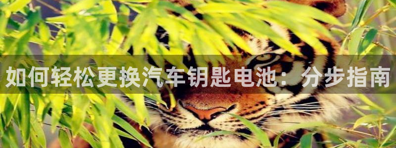优发国际在哪里下载