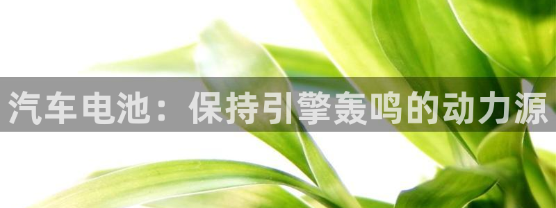 优发国际官方网手机版下载安卓