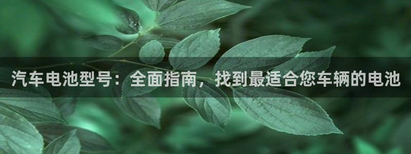 优发国际手机安装登录不了