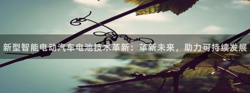 优发国际手机安装登录：新型智能电动汽车电池技术革新：革新未来，助力可持续发展