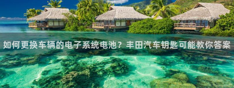 优发国际网官网17w8