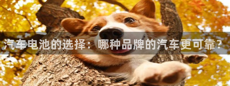 优发国际手机app下载安装苹果