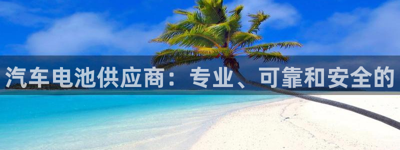 优发国际官网网站首页：汽车电池供应商：专业、可靠和安全的