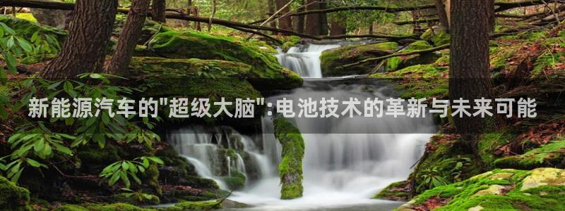 优发国际不出款了吗：新能源汽车的\