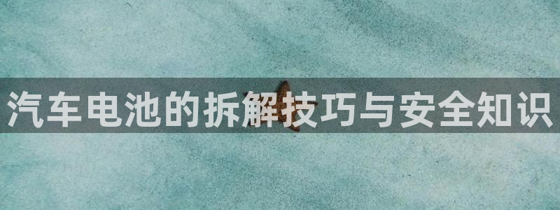 优发国际官方网手机版入口：汽车电池的拆解技巧与安全知识