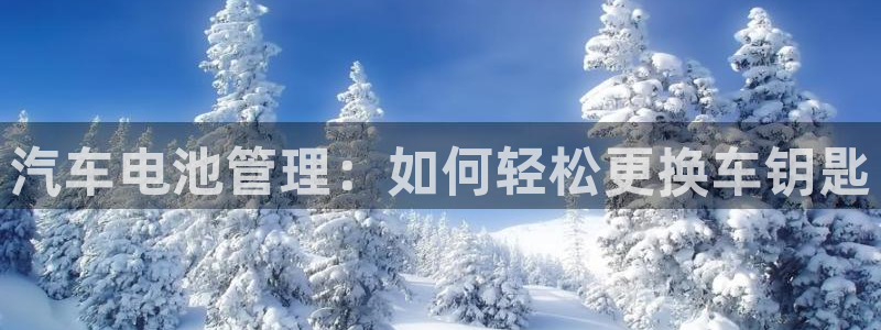 优发国际注册17：汽车电池管理：如何轻松更换车钥匙