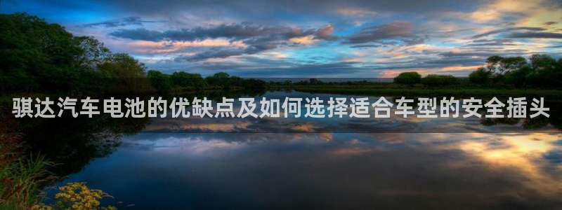 优发国际网站178：骐达汽车电池的优缺点