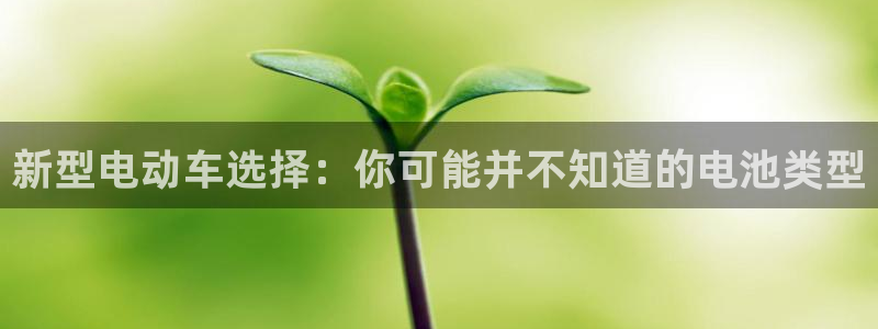 优发国际的官网是什么软件：新型电动车选择：你可能并不知道的电池类型