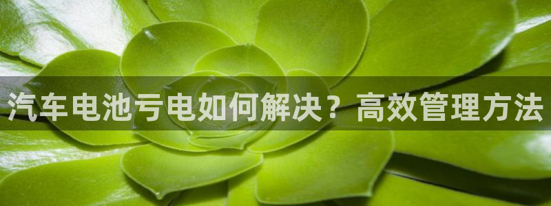 优发国际登录168：汽车电池亏电如何解决？高效管理方法