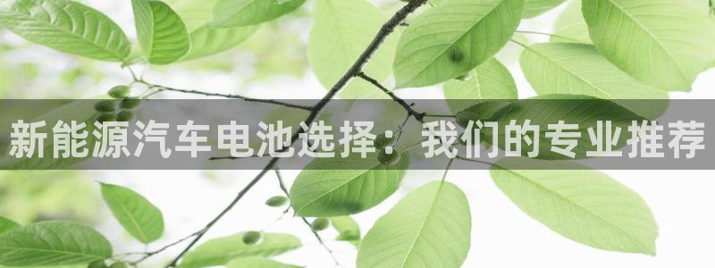 优发国际登录l8：新能源汽车电池选择：我们的专业推荐