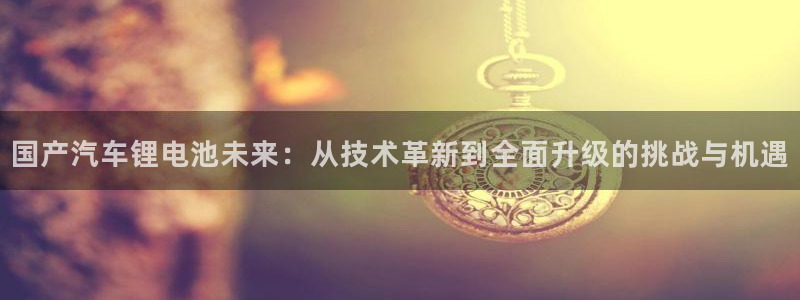 优发国际游戏17：国产汽车锂电池未来：从技术革新到全面升级的挑战与机遇