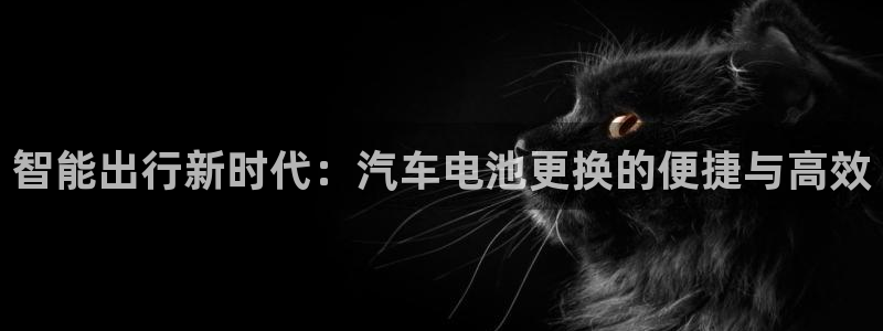 优发国际安卓版下载安装苹果：智能出行新时代：汽车电池更换的便捷与高效
