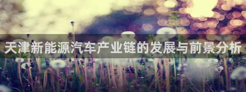 优发国际电话：天津新能源汽车产业链的发展与前景分析