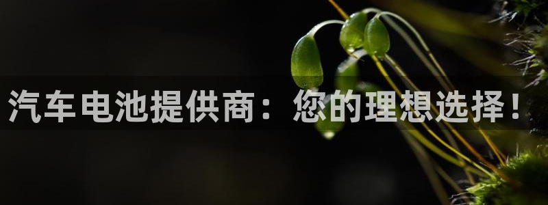 优发国际多少钱：汽车电池提供商：您的理想选择！