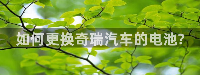 优发国际官方网手机版下载
