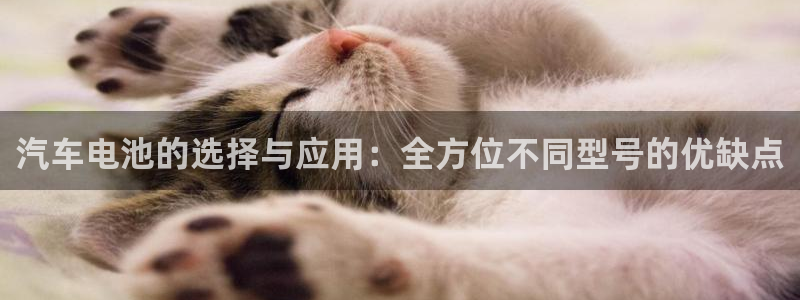 优发国际亚洲平台