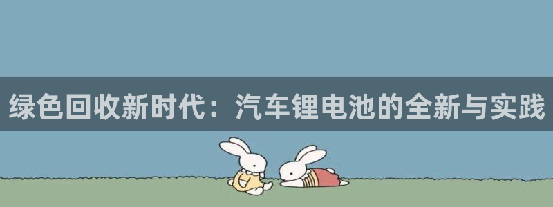优发国际网站官网：绿色回收新时代：汽车锂