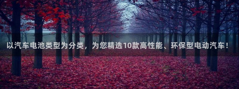 优发国际官网入口app下载安装：以汽车电