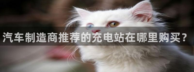 优发国际官网首页