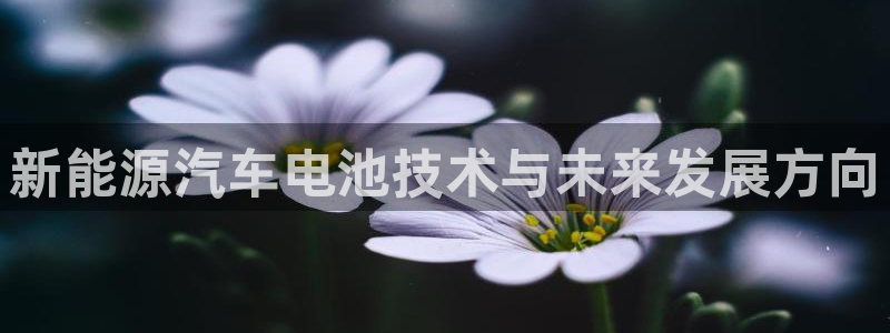 优发国际网官网17o8