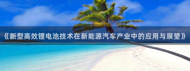优发国际是不是黑网：《新型高效锂电池技术在新能源汽车产业中的应用与展望》