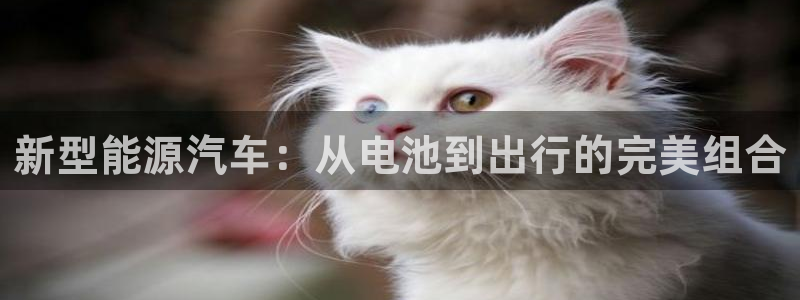 优发国际手机app下载安装官网：新型能源汽车：从电池到出行的完美组合