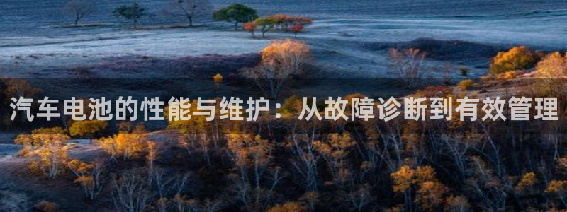优发国际网官网：汽车电池的性能与维护：从故障诊断到有效管理