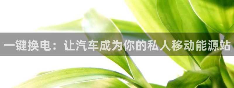优发国际网站多少