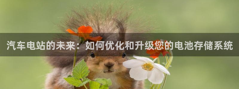 优发国际软件下载官网：汽车电站的未来：如
