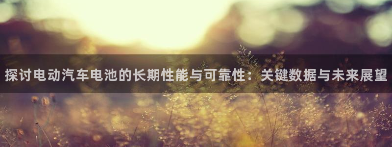 优发国际下载安装app：探讨电动汽车电池