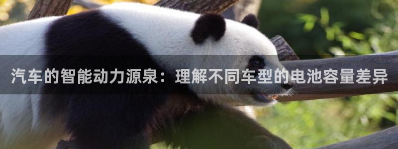 优发国际app登录：汽车的智能动力源泉：理解不同车型的电池容量差异