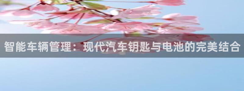 优发国际可以玩吗：智能车辆管理：现代汽车