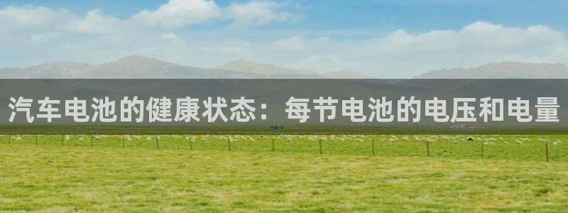 优发国际首页：汽车电池的健康状态：每节电