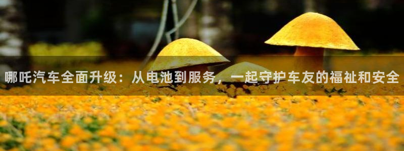优发国际娱乐官网多少?