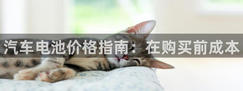 优发国际登录l8