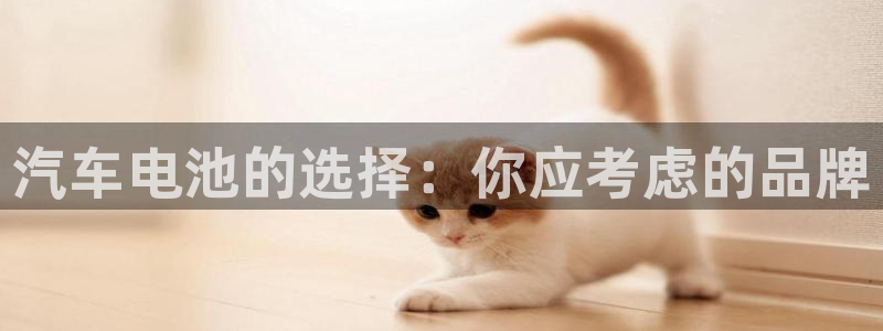 优发国际是真的吗