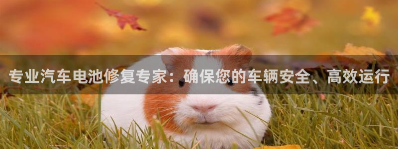 优发国际的官网是什么软件