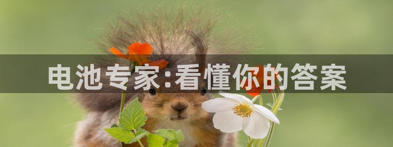 优发国际手机客户端官网：电池专家:看懂你