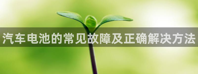 优发国际软件下载官网：汽车电池的常见故障
