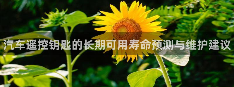 优发国际下载安装：汽车遥控钥匙的长期可用