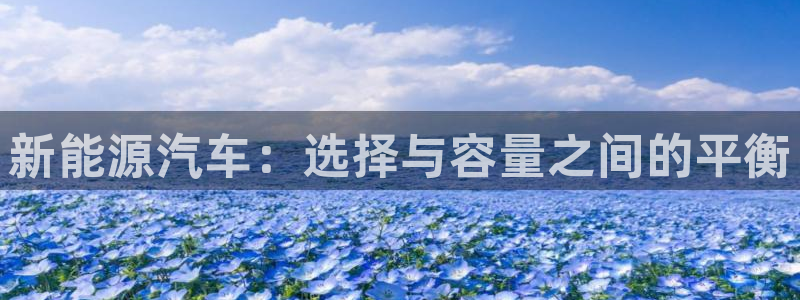优发国际手机客户端官网下载：新能源汽车：选择与容量之间的平衡