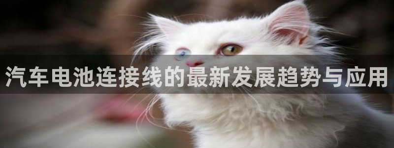 优发国际是真的吗：汽车电池连接线的最新发展趋势与应用