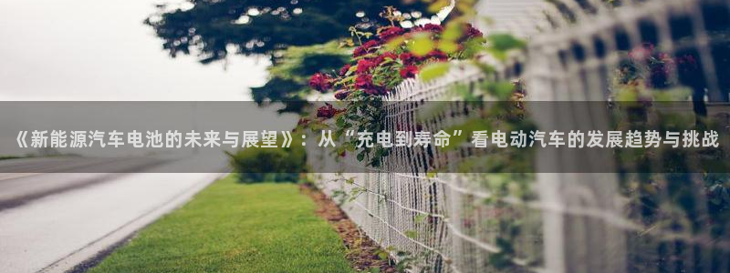 优发国际软件下载官网：《新能源汽车电池的未来与展望》：从“充电到寿命”看电动汽车的发展趋势与挑战