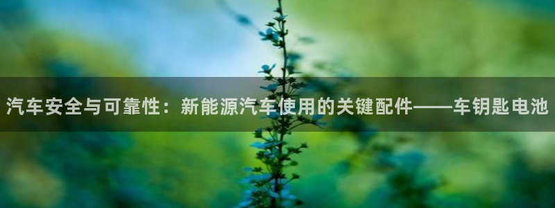 优发国际注册平台怎么样：汽车安全与可靠性：新能源汽车使用的关键配件——车钥匙电池