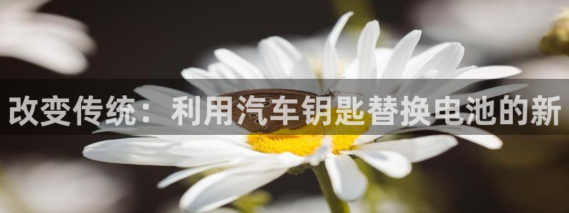 优发国际官方网手机版下载：改变传统：利用汽车钥匙替换电池的新